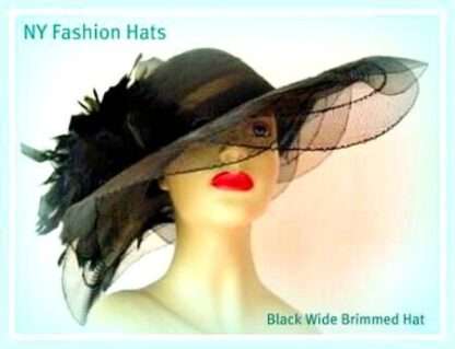 Special Occasion Hats By NYFashionHats.com